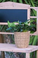 Plantenbakkenset Home ESPRIT Bruin Vezel Tropisch 31 x 31 x 24 cm - thumbnail