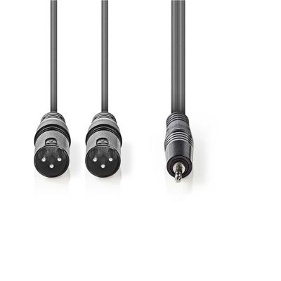 Nedis Gebalanceerde Audiokabel | 2x XLR 3-Pins Male naar 3,5 mm Male | 3 m | 1 stuks - COTH15310GY30 COTH15310GY30
