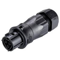 Wieland Electric 96.031.4553.1 Steekverbinder - thumbnail