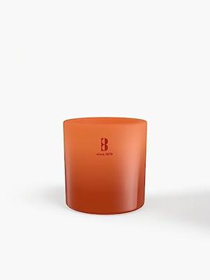 Bolsius Summer Nights Buiten Kaars Ivoor Bolsius Summer Nights Buiten Kaars Ivoor