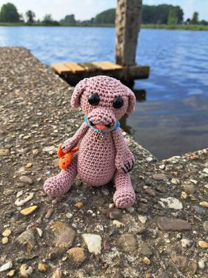 Haakpatroon byClaire Wetterhoun/zeehond Binne