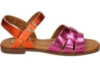 Red Rag 79666 - alle - thumbnail