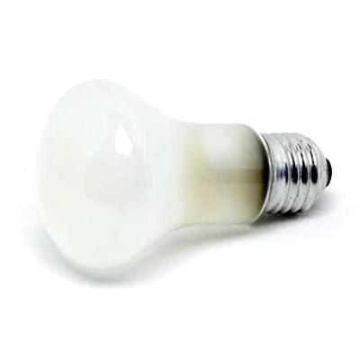 Elinchrom Model Lamp - 100W 196V (voor D-Lite)