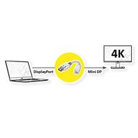 ROLINE DisplayPort adapter, DP male - Mini DP female - thumbnail