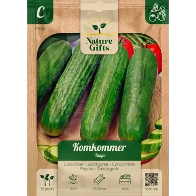 Komkommer tanja Komkommer tanja