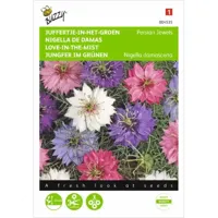 Nigella, Juffertje-in-het-groen Persian Jewels gem. - thumbnail