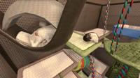 House Flipper - Pets Edition - thumbnail