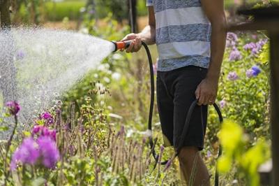 Gardena Sproeibroes - 18310-20 - thumbnail