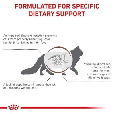 Royal Canin gastrointestinal kattenvoer 4kg zak - thumbnail