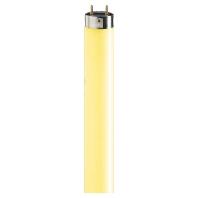 Philips Fluorescentielamp G13 18 W Staaf (Ø x l) 28 mm x 604 mm 1 stuk(s)