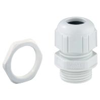 Spelsberg 22942001 Wartel Slagvast, Met trekontlasting, Met borgmoer M20 Kunststof Lichtgrijs 1 stuk(s)