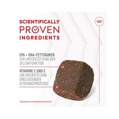 Royal Canin Joint & Ageing Chews voedingssupplement hond 5 x 240 g - thumbnail