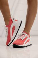 Dsquared2 77734 Sneakers Dames/Kids Roze - Maat 37 - Kleur: WitRoze | Soccerfanshop - thumbnail