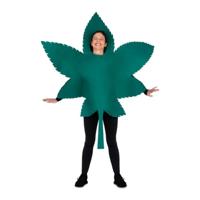 Kostuums voor Volwassenen My Other Me Één maat 2 Onderdelen Groen - thumbnail