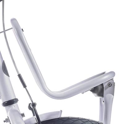 Alpina voordrager 20 clubb frosty pink matt