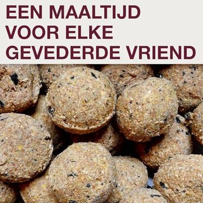Swissinno Lucerne Hellgrau für Maisenknödel Voedersilo 700 g Vogel Lichtgrijs 1 stuk(s) 1 821 001 Swissinno Lucerne Hellgrau für Maisenknödel Voedersilo 700 g Vogel Lichtgrijs 1 stuk(s) 1 821 001