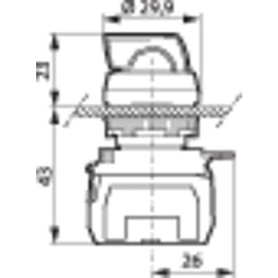 BACO BAL21KG20E L21KG20E Keuzetoets Kunststof frontring, Verchroomd Groen 1 x 45 ° 1 stuk(s)