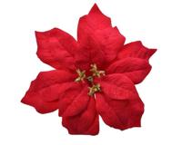 Poinsettia stof op clip 26 cm rood - thumbnail