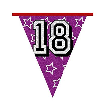 Holografische vlaggenlijn &apos;18&apos; (8 m)