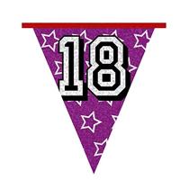 Holografische vlaggenlijn &apos;18&apos; (8 m) - thumbnail