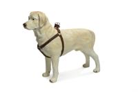 Beeztees Soft Touch - Hondentuig - Bruin - 35-50 cm - thumbnail