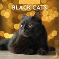 Zwarte Katten Kalender 2027 - thumbnail