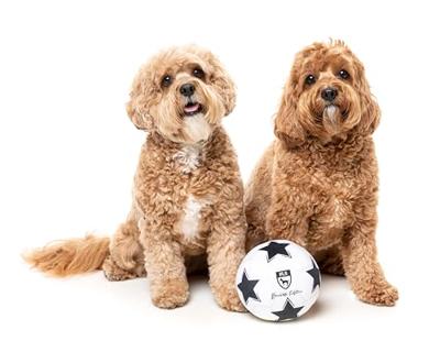 Fuzzyard voetbal pluche - thumbnail