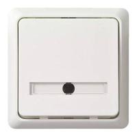 ELSO-toets 506324 42V/1A AP vlak RENOVATIE rw Wit 1 stuk(s) - thumbnail