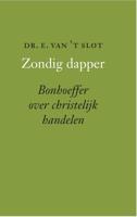 Zondig dapper - Edward van 't Slot - ebook - thumbnail