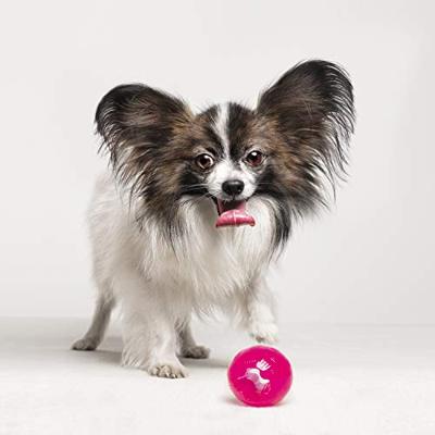 Hondenspeelgoed Gloria TPR Roze (9,5 cm)