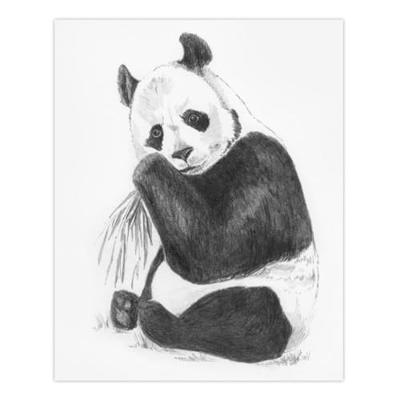 Tekenset Royal & Langnickel SKETCHING MADE EASY 33 Onderdelen