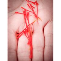Sonnentor Saffraan bio 0.5 Gram - thumbnail