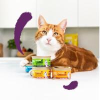 Edgard & Cooper zalm en kip kat natvoer blikjes 18 x 85gr - thumbnail