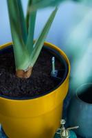 B. for Original Round 25 oker - thumbnail