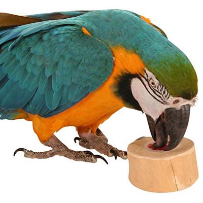 BACK ZOO NATURE FRUITKUIPJE HOUDER MET SCHROEF - thumbnail