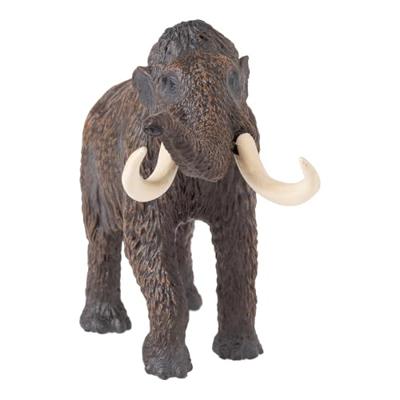 Mojo prehistorie wolharige mammoet 381049
