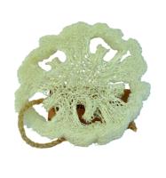 Loofah natuurspons plak - thumbnail