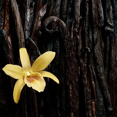 Escada Celebrate N.O.W. Eau de parfum Spray 30 ml Dames