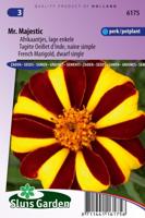 Tagetes Patula Nana zaden Mr. Majestic afrikaan - thumbnail