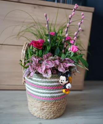 Pot Buddy Mickey 6x5x10 cm Disney - Disney Pot Buddy Mickey 6x5x10 cm Disney - Disney