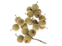 Appeltjes Frosted groen 5x4 stuks - thumbnail