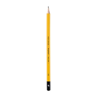 Grafietpotlood Bruynzeel Burotek HB set à 12 stuks grijs