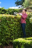 RYOBI Heggenschaar 550 W - messen 55 cm - RHT5655RS - thumbnail