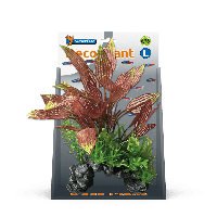 Deco plant l henkelianus - thumbnail