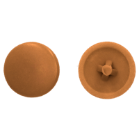 pgb-Europe PGB-FASTENERS | Afdekkap PZ 2 (12mm) R8001 0AFD02N00002080015 - thumbnail