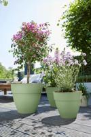 Elho Vibia Campana Rond Pistache Groen Ø20cm - thumbnail