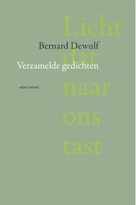 Licht dat naar ons tast - Bernard Dewulf - ebook