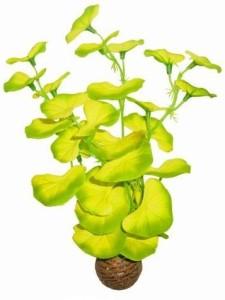 Easy Plant Middel 20 Cm Nr. 10 aquaria Superfish - Superfish