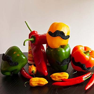 Boland Plaksnorren, 5st.