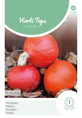 Zaden Pompoenen Oranje Zon Hortitops - Hortitops
